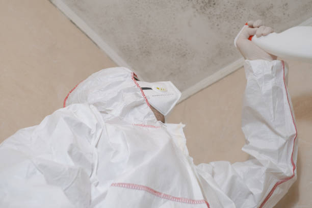Best Residential Mold Remediation in Tahoka, TX